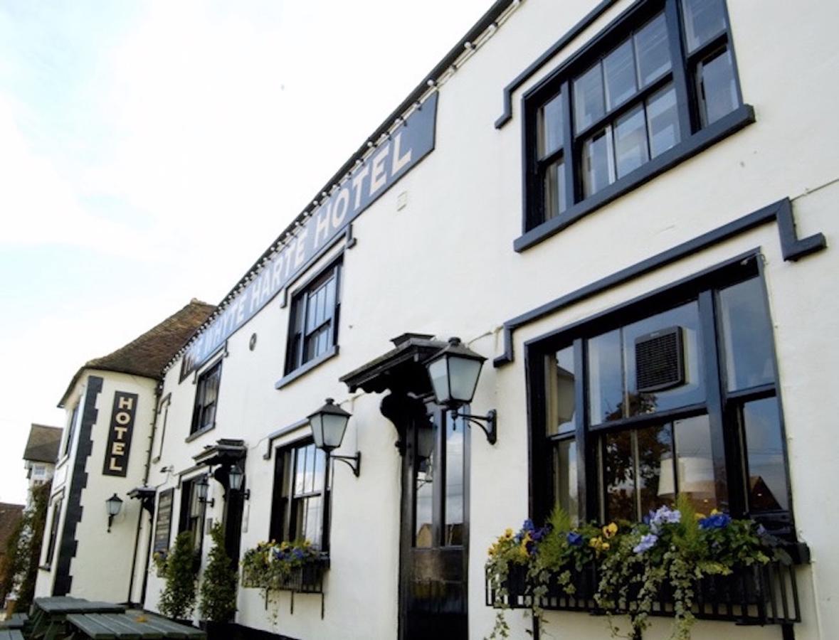 Whyte Harte Hotel Redhill  Extérieur photo
